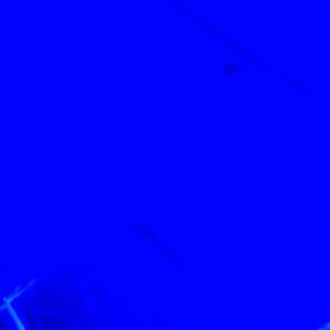 Meet your Posher, Britney